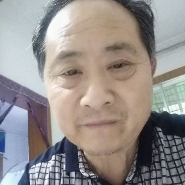 快乐的骏马的照片
