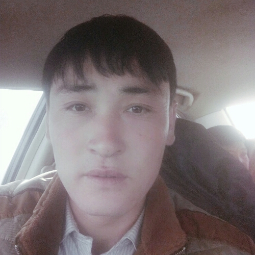 爱在草原的照片