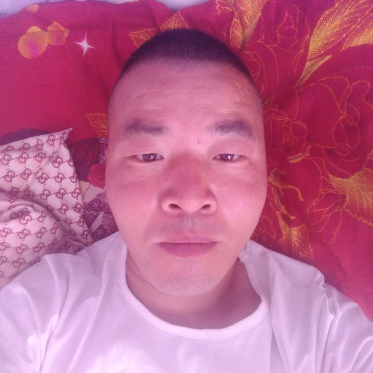 刺猬打单身的照片