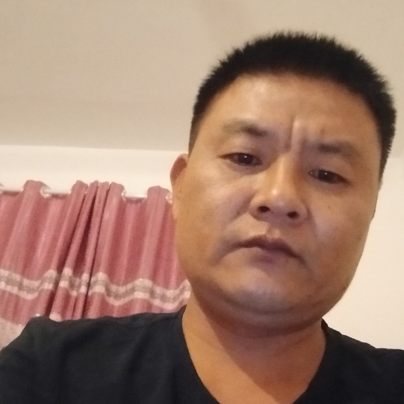 缥缈蹁跹蜜蜂的照片