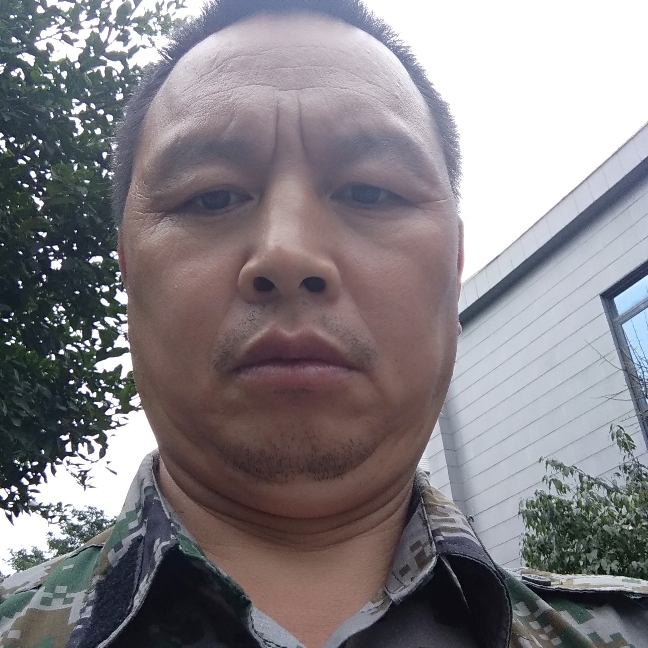 和谐海燕的照片