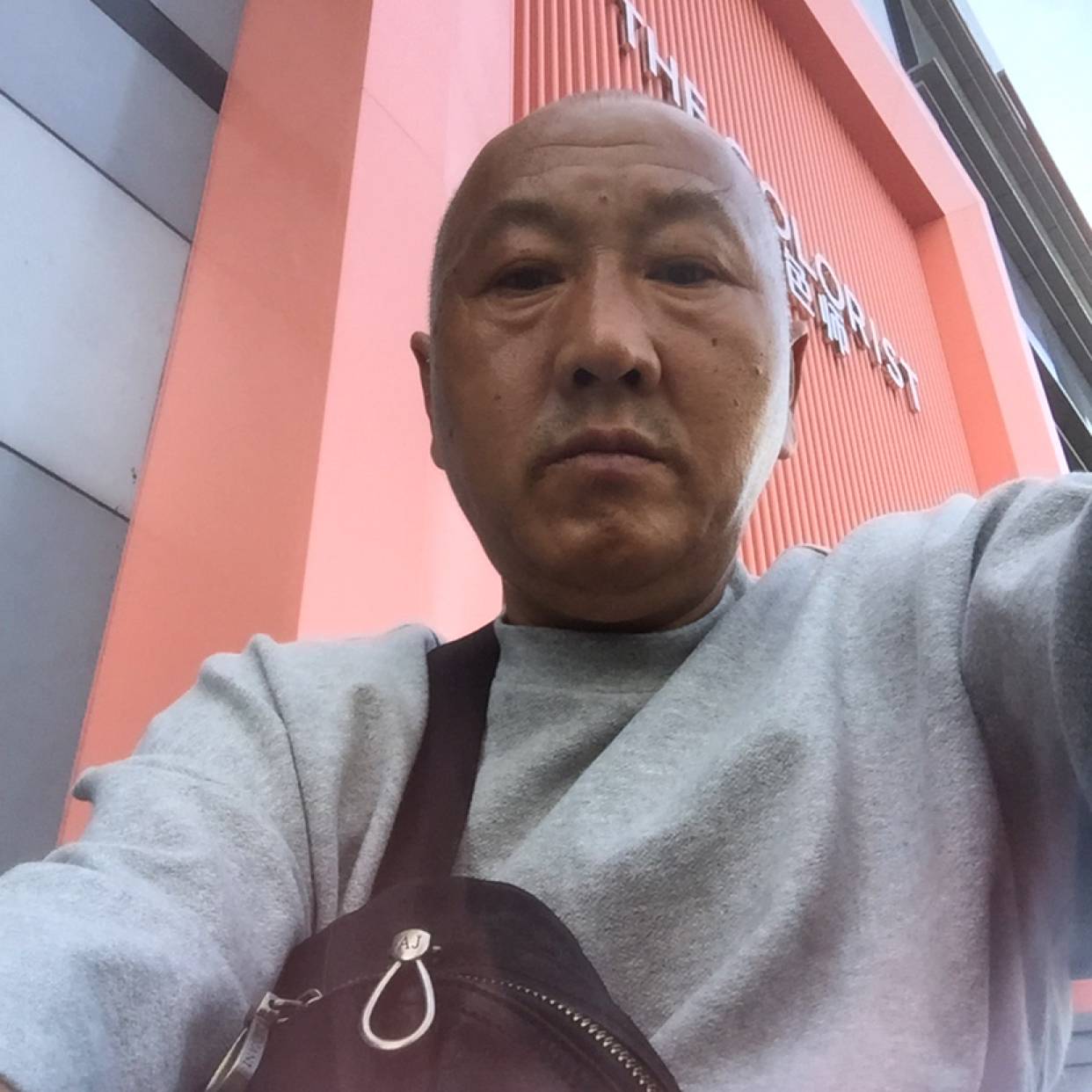 凶狠蹙眉小懒猪的照片