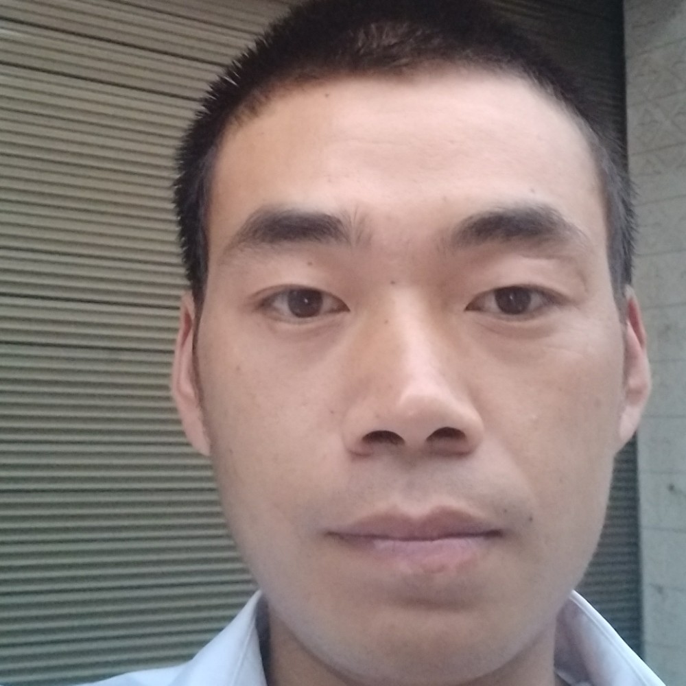 单纯深拥树叶的照片