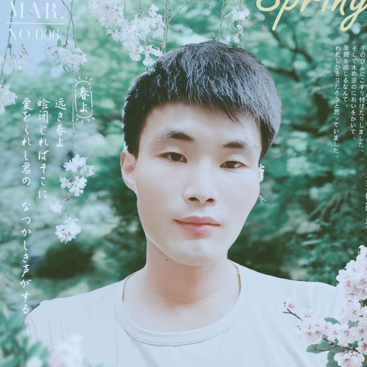 干净停止冬天的照片
