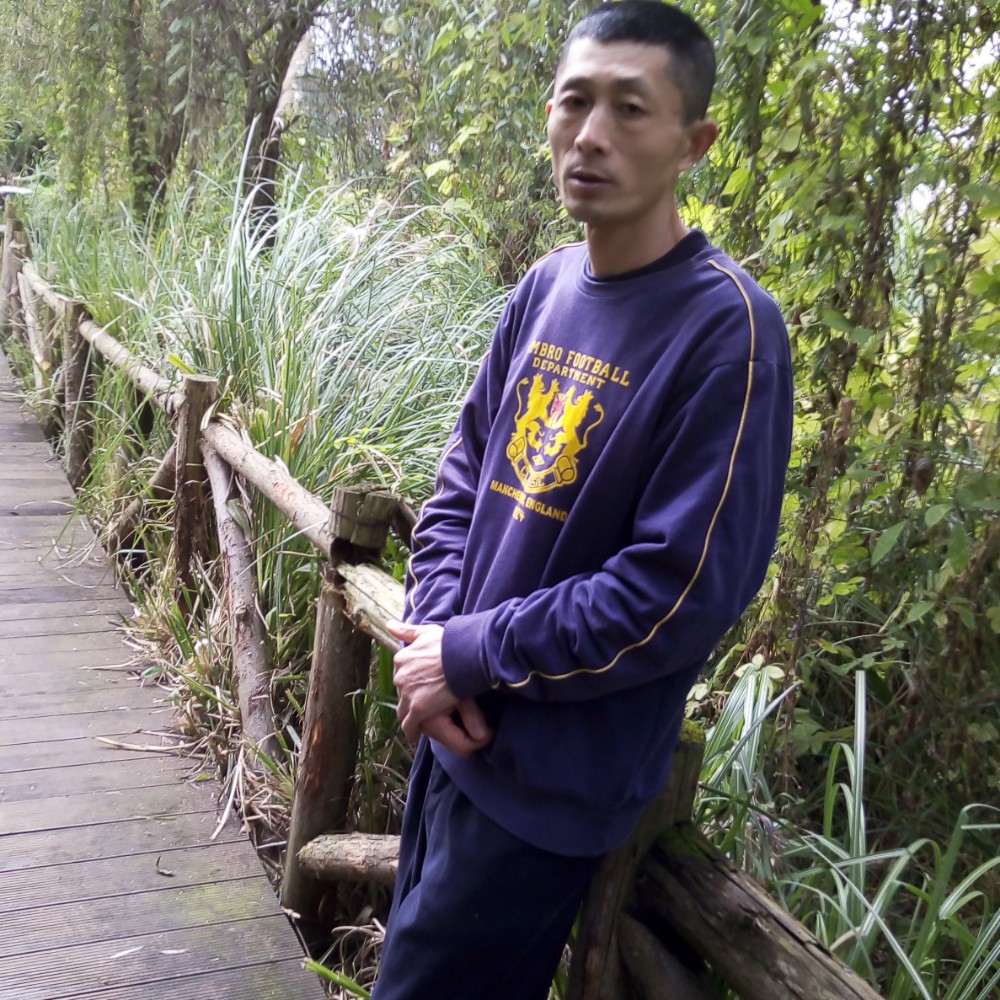 小刺猬泪了追寻的照片