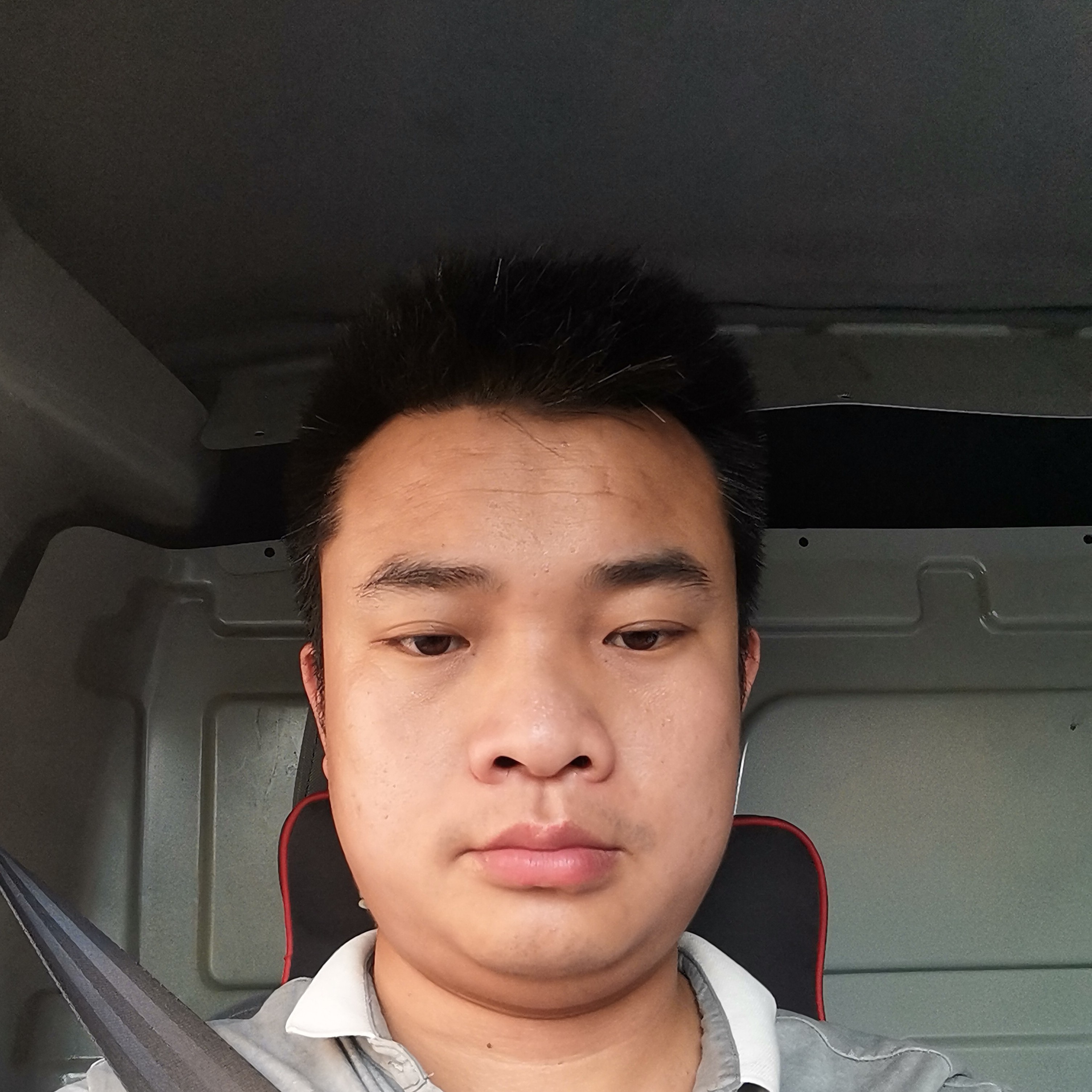 坚定改变蝶舞的照片