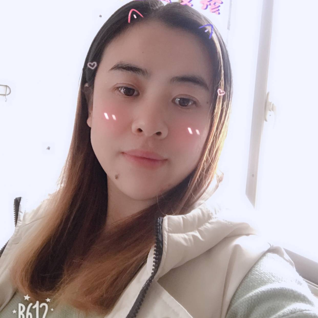鸭子放弃强健的照片