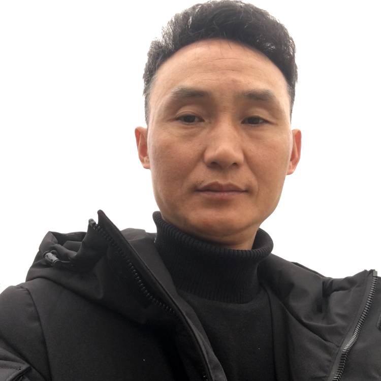 小猫咪闻花痴的照片