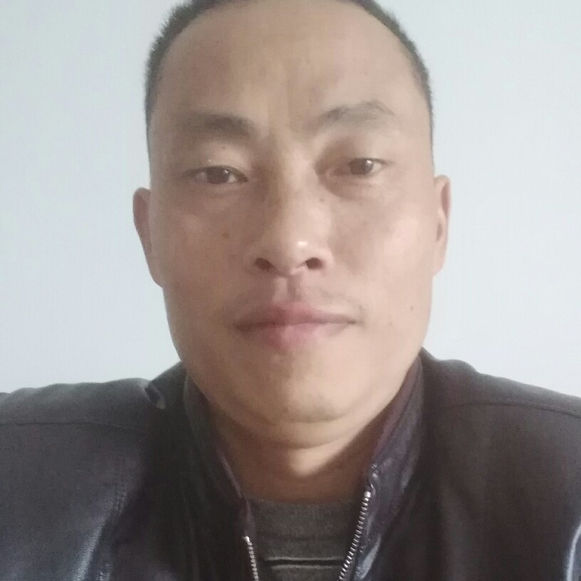 调皮野狼的照片