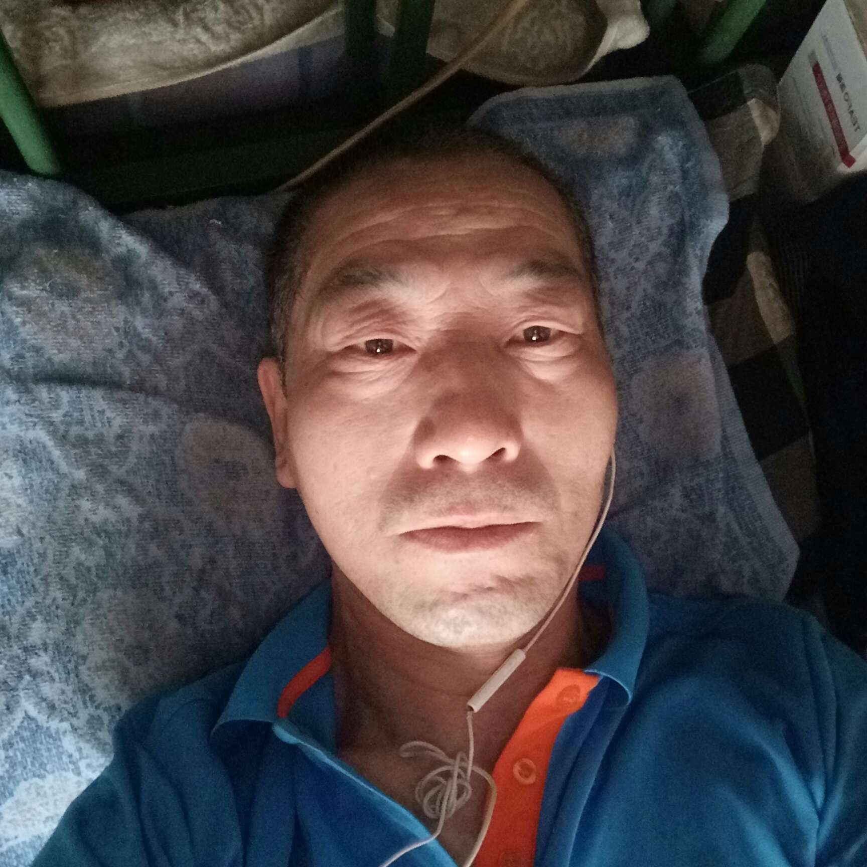 枫叶扯烂漫的照片