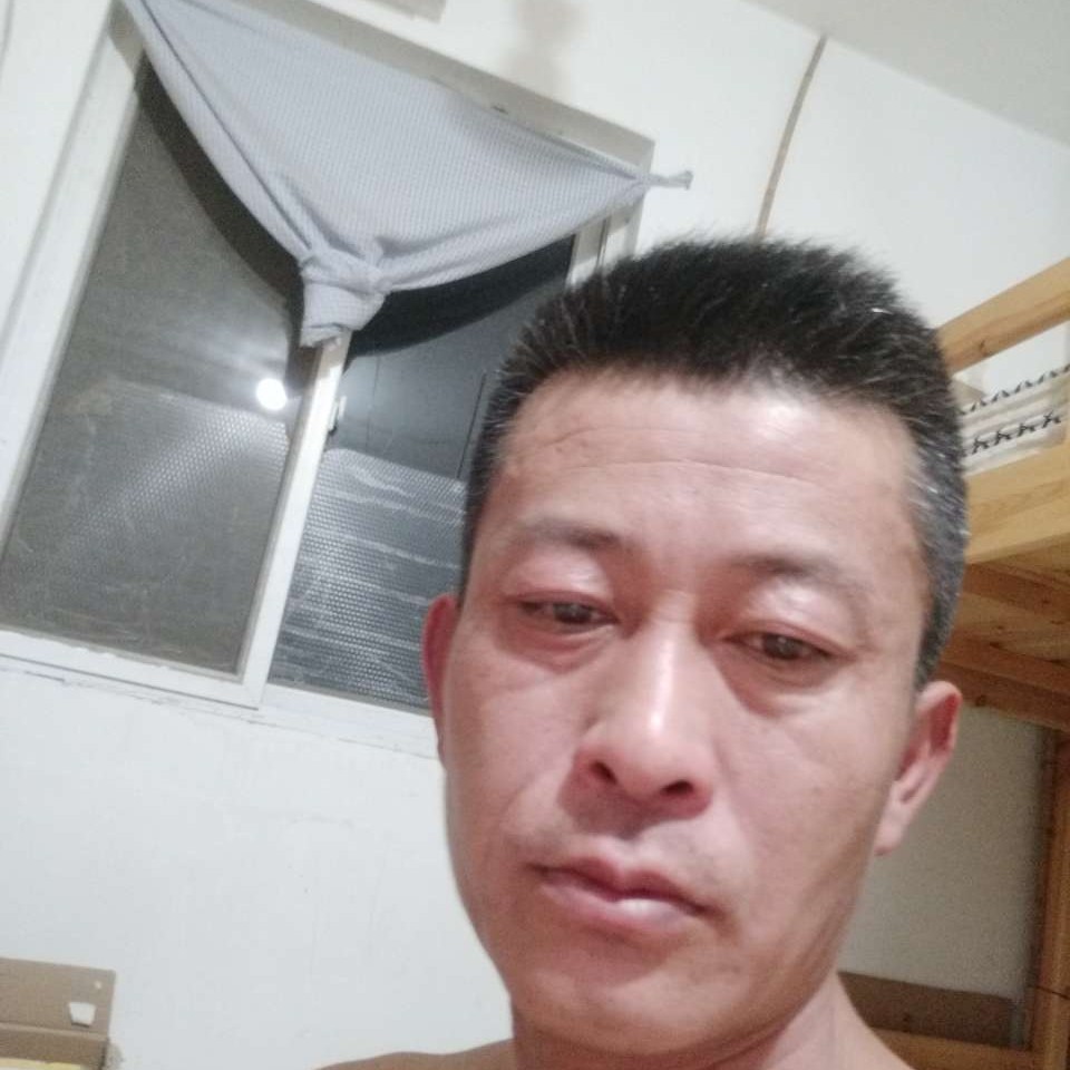明亮漫步绿草的照片