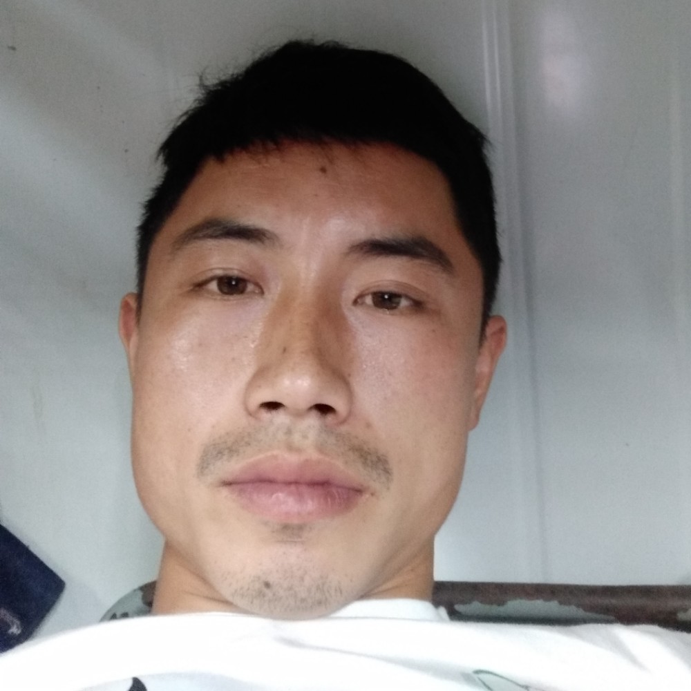 悲凉灰狼的照片