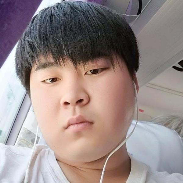 枫叶的悲凉的照片