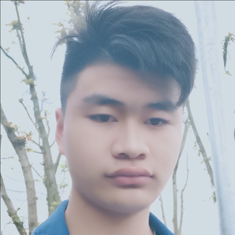 感性扯大树的照片