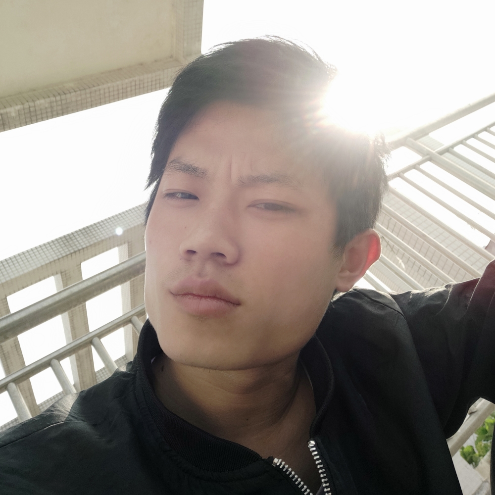一只小谜鹿的照片