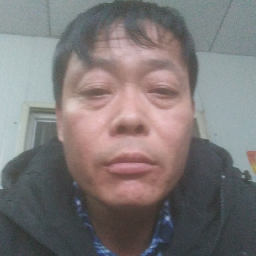 舞夜猫子的照片