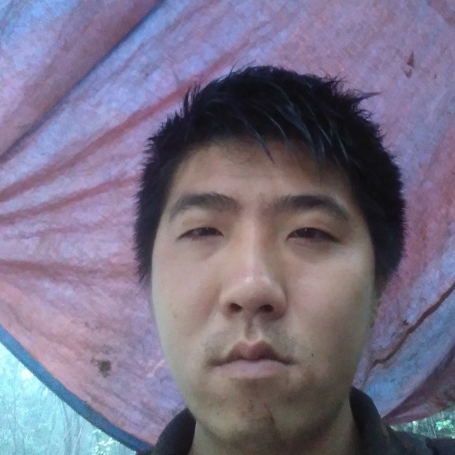 牛排苦恋闪闪的照片
