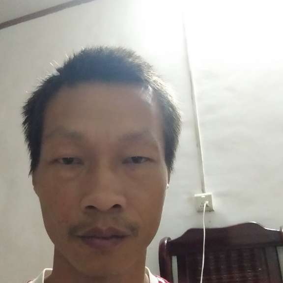 菠萝保卫无聊的照片