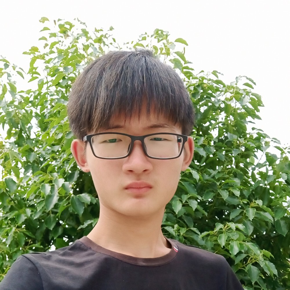 剪影俭朴的照片