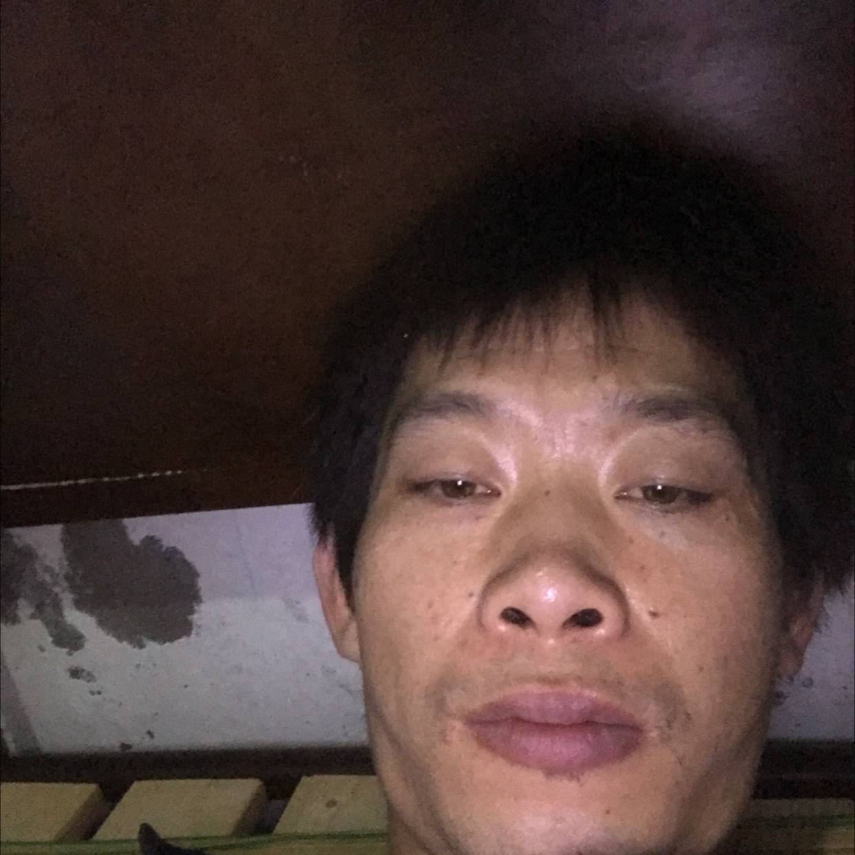 春天与淡定的照片
