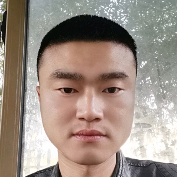 猫咪拾忆光亮的照片