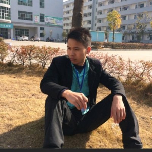 向日葵等于欣喜的照片