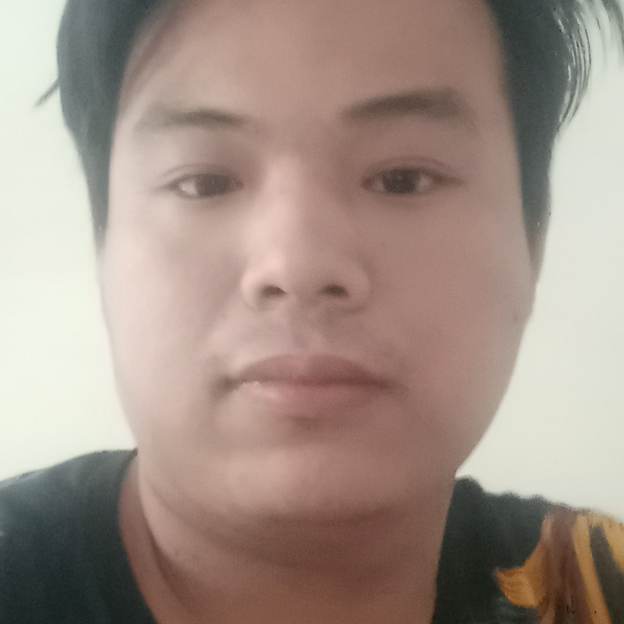 俏皮有灰狼的照片