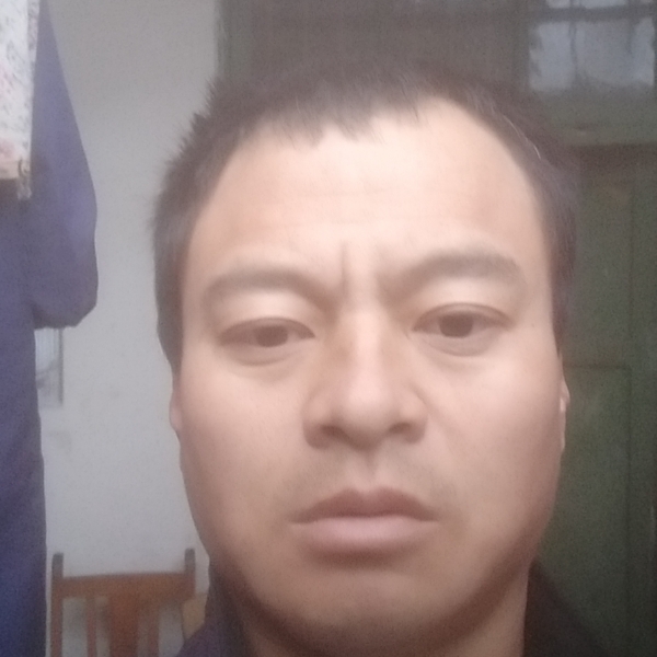 化羽回眸俊秀的照片