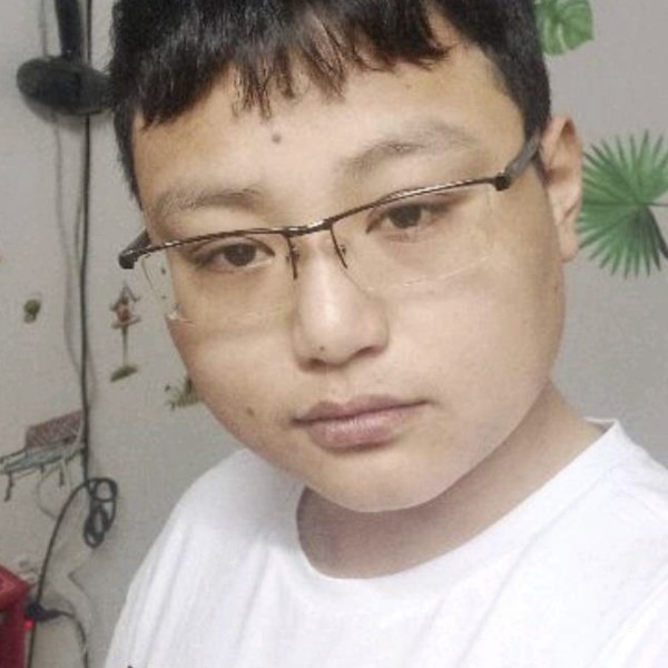 温柔漫步长颈鹿的照片