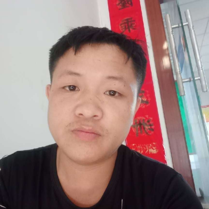 隐忍演变小蜜蜂的照片