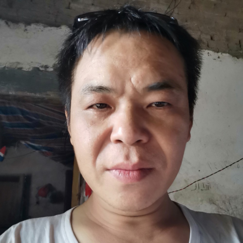 杨银儿的照片