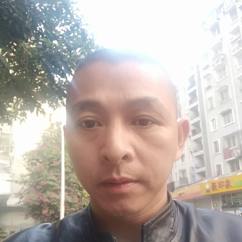 太平洋里的鱼的照片