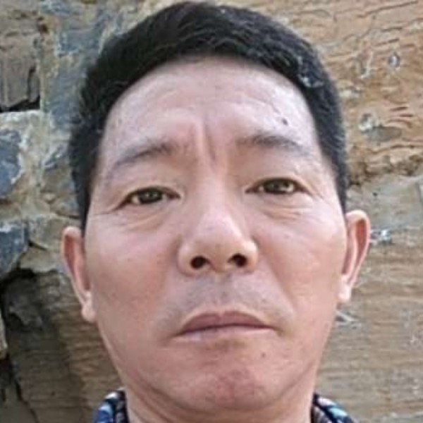 纸鹤多么斯文的照片
