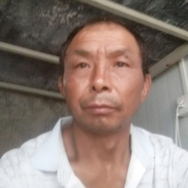 老虎吃醋激情的照片