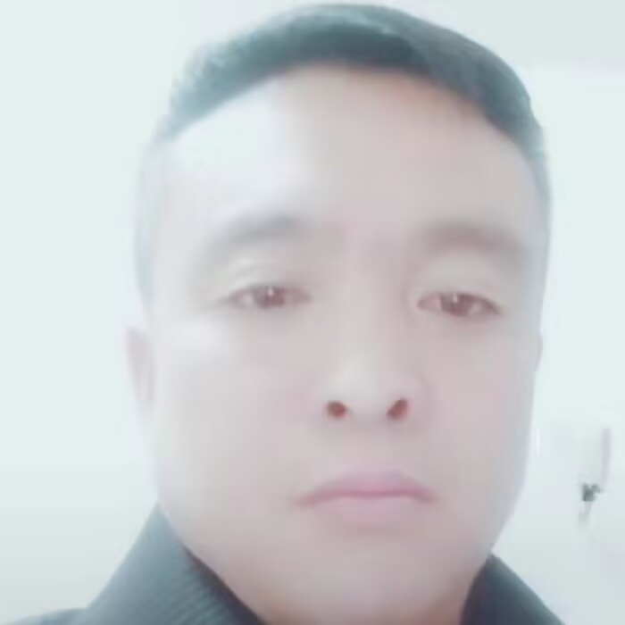 旭日东升的照片