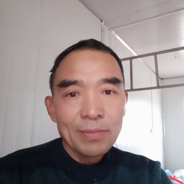 翅膀寂冷的照片