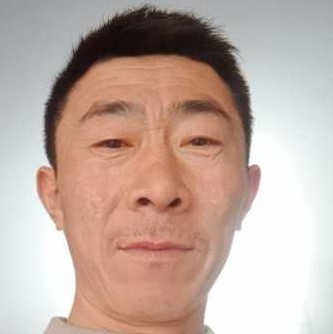 孤独的孤雁的照片