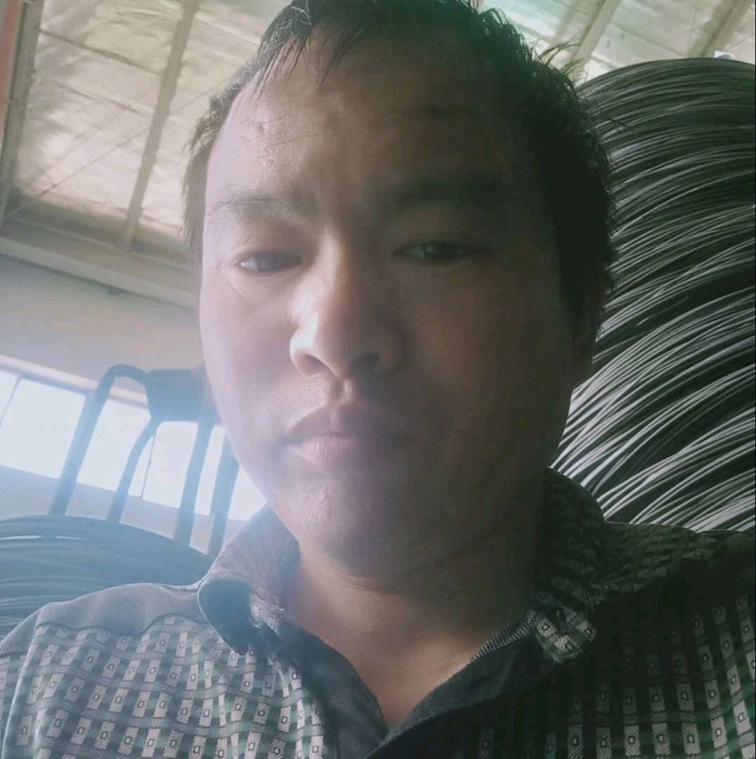 寻找临时女友的照片