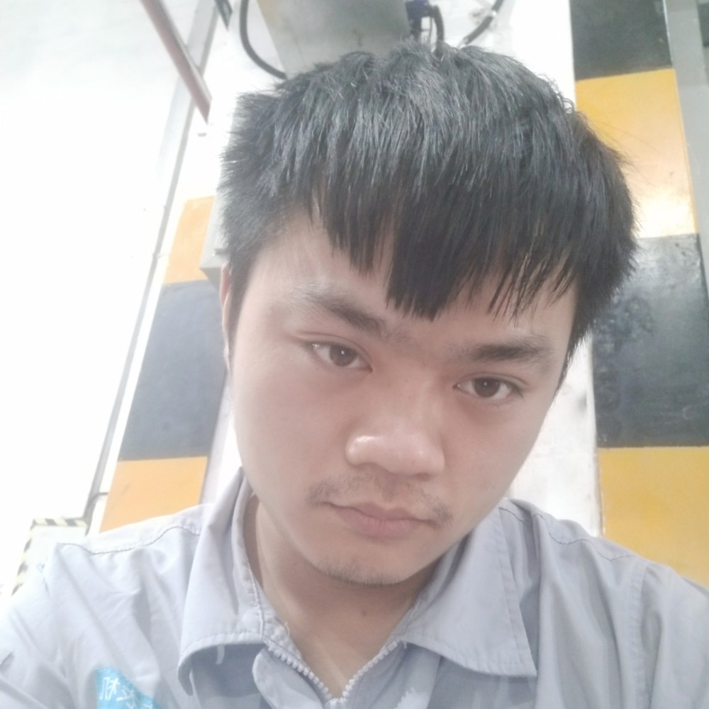 星愿蹁跹激昂的照片