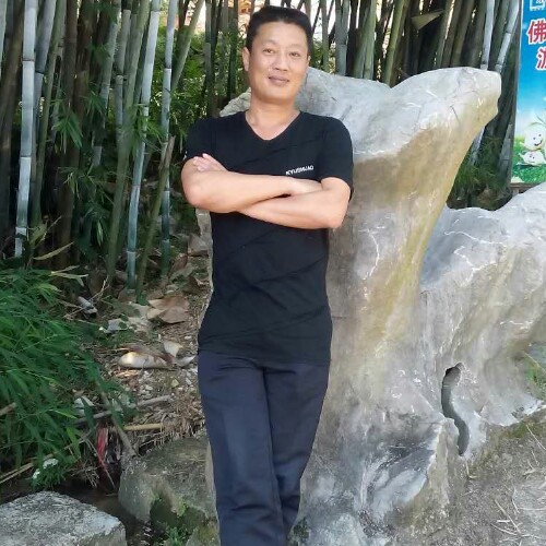 小鱼治水的照片