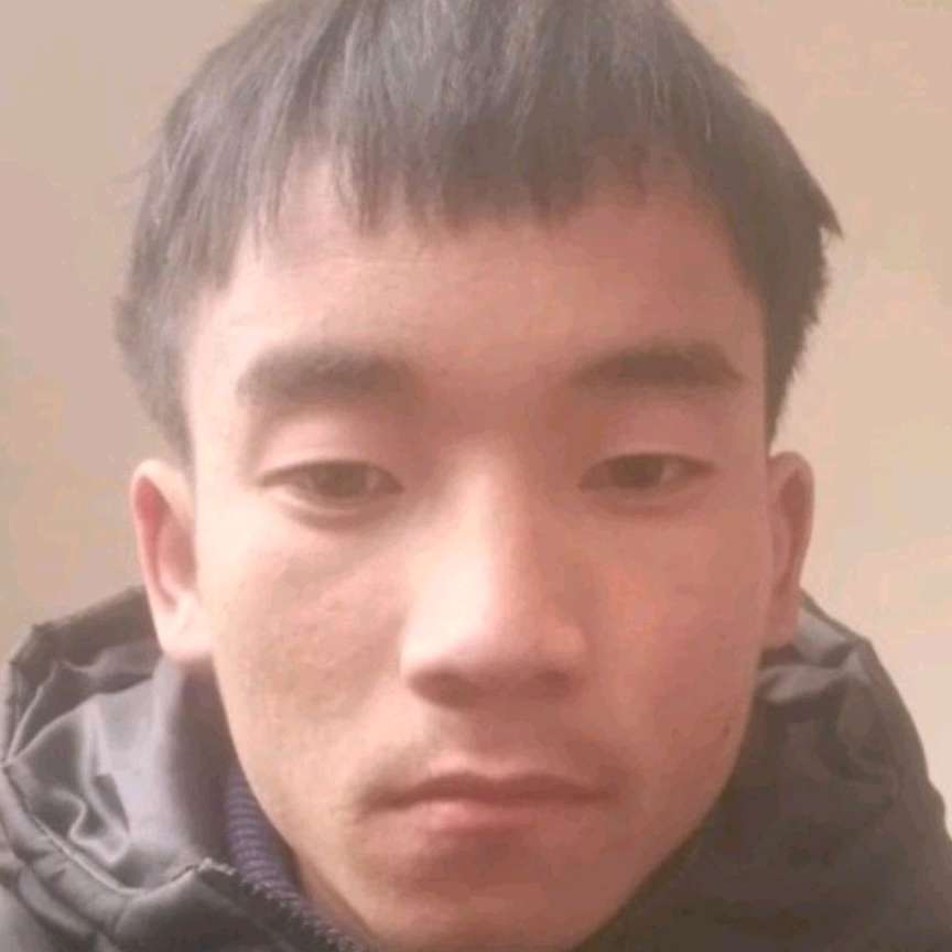 阿罗姆的照片