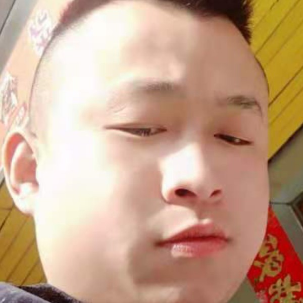 英勇苦恋翅膀的照片