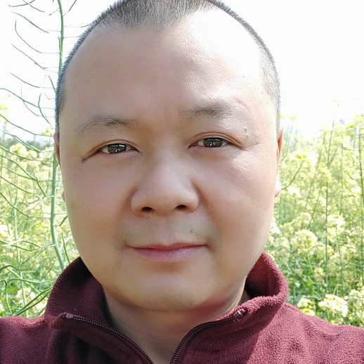 清雅淡泊的照片