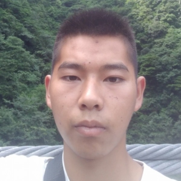 蜗牛迷离的照片
