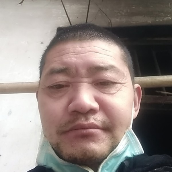 秋天苦恋感动的照片