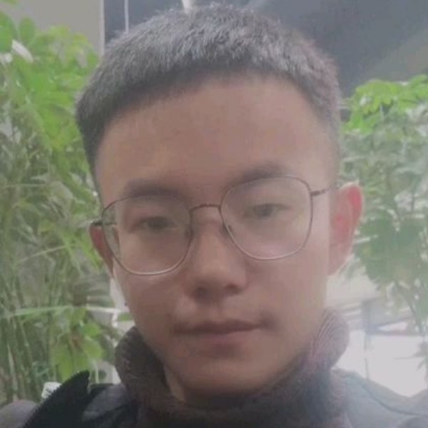 开朗浅吻小猫咪的照片