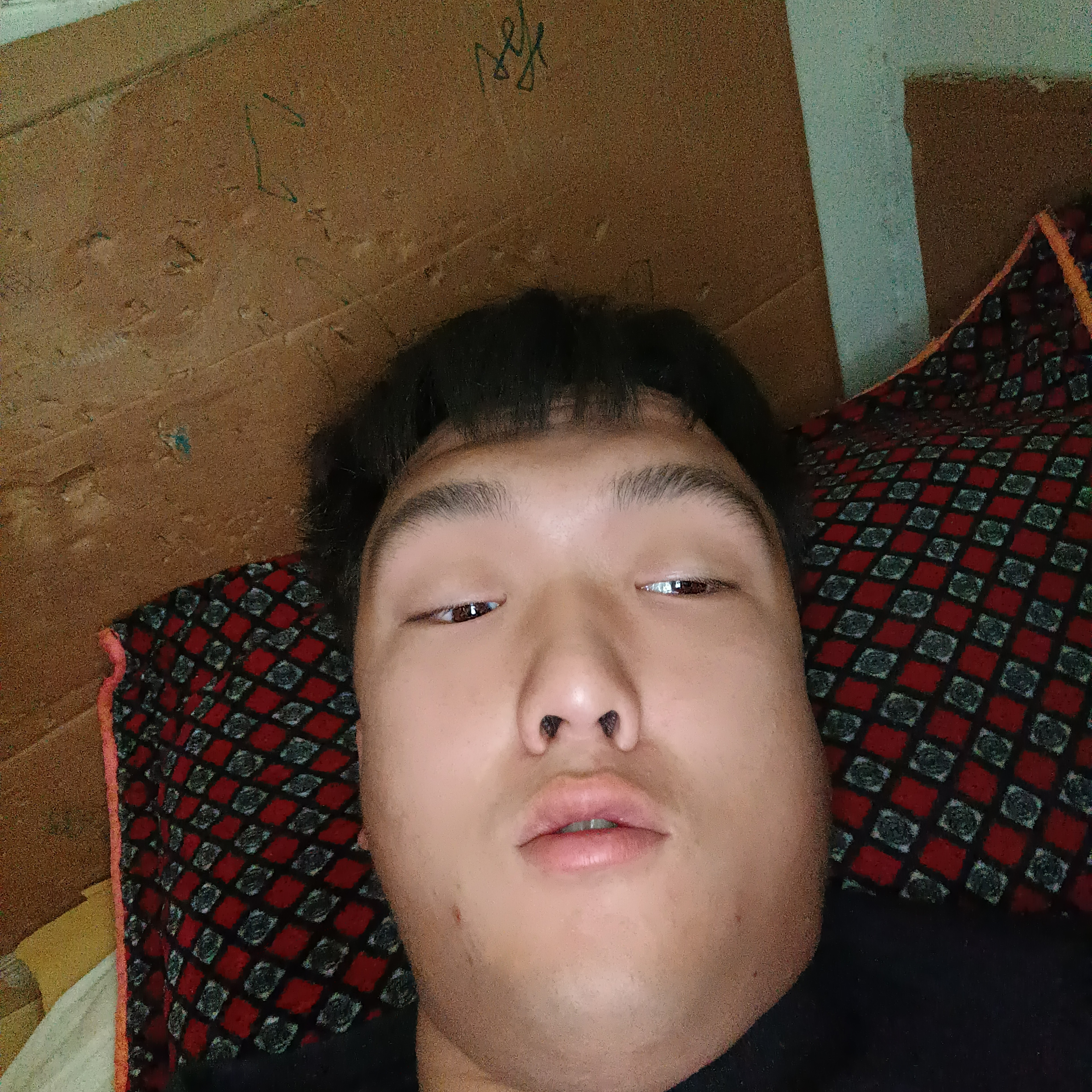 平常生人的照片