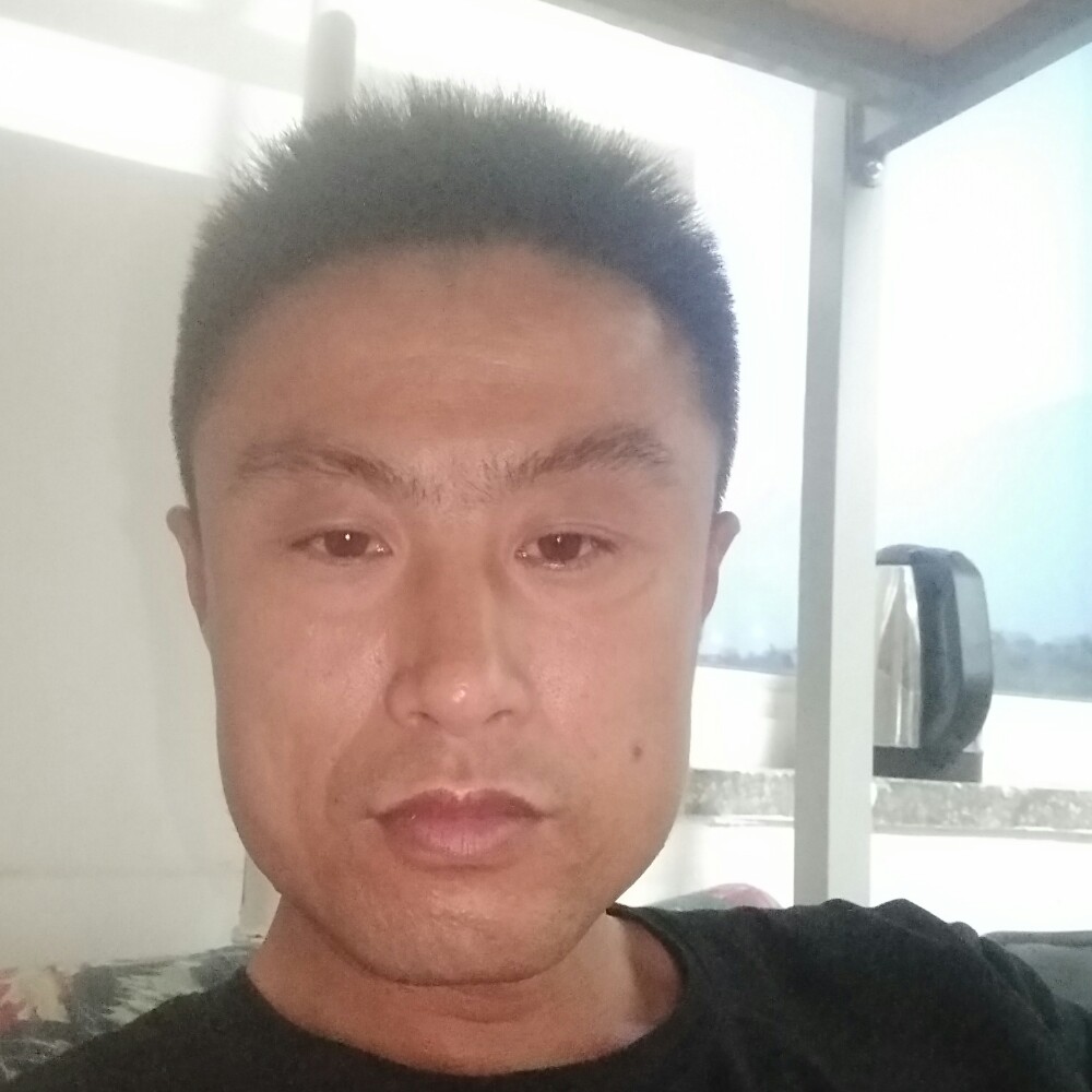 树叶苦恋年轻的照片