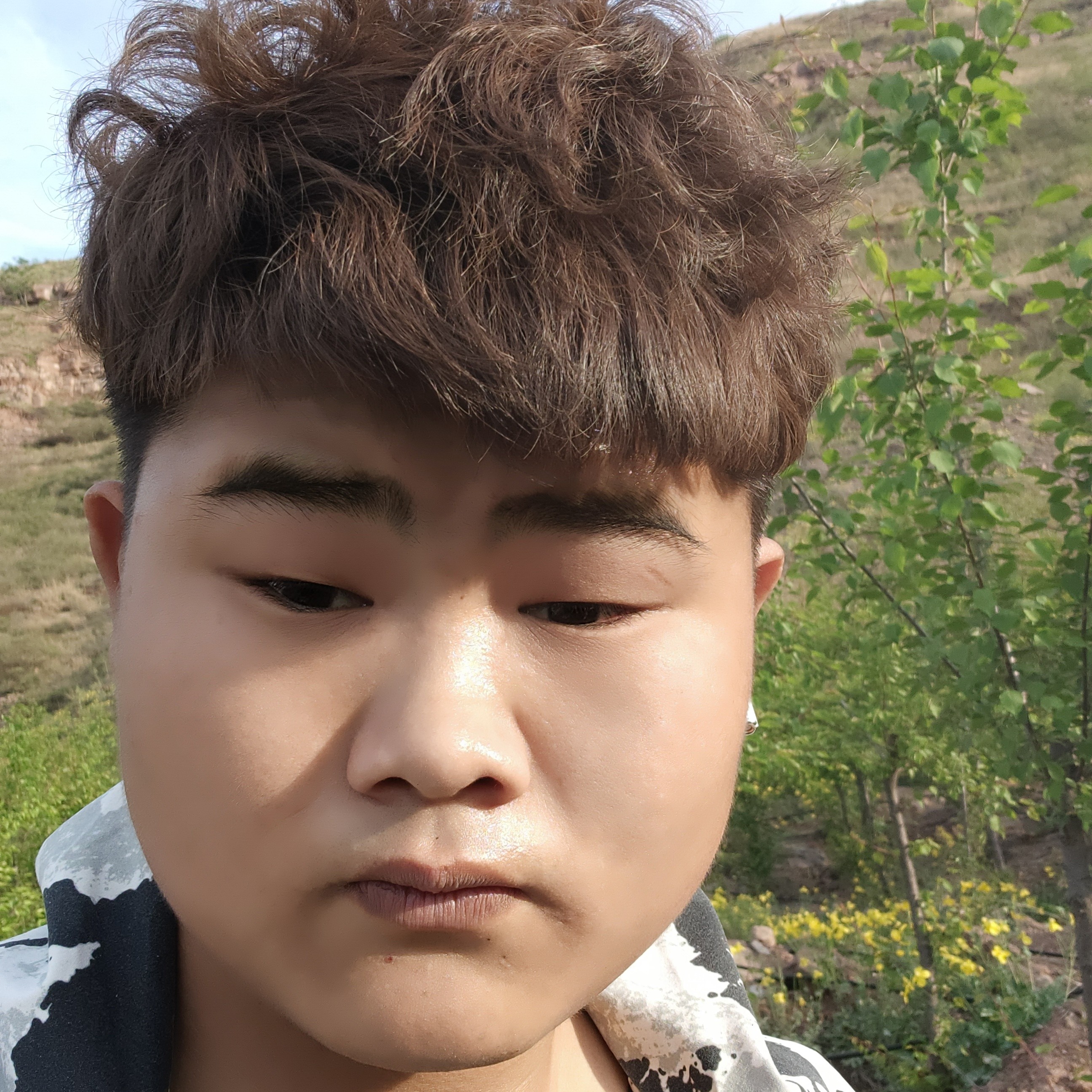 蚂蚁相许寂灭的照片