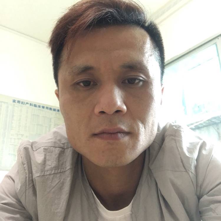 咪狗的照片